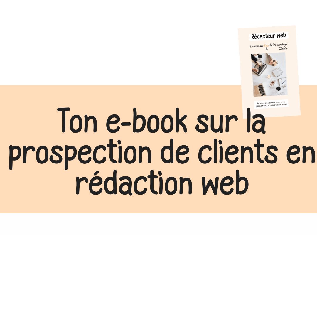 e-book prospection de clients en rédaction web