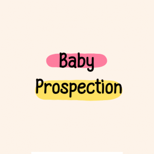 Baby prospection - Les bases de la prospection pour tous les freelances