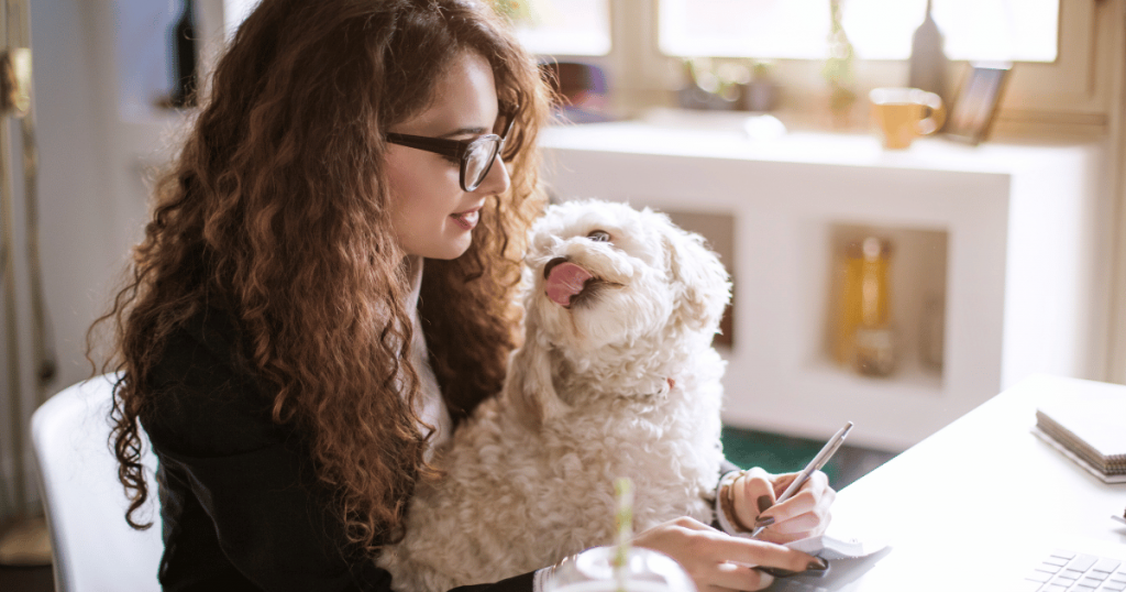 Le storytelling : l'art de raconter pour mieux vendre quand on est freelance